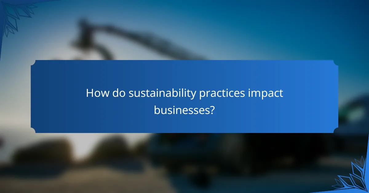 How do sustainability practices impact businesses?