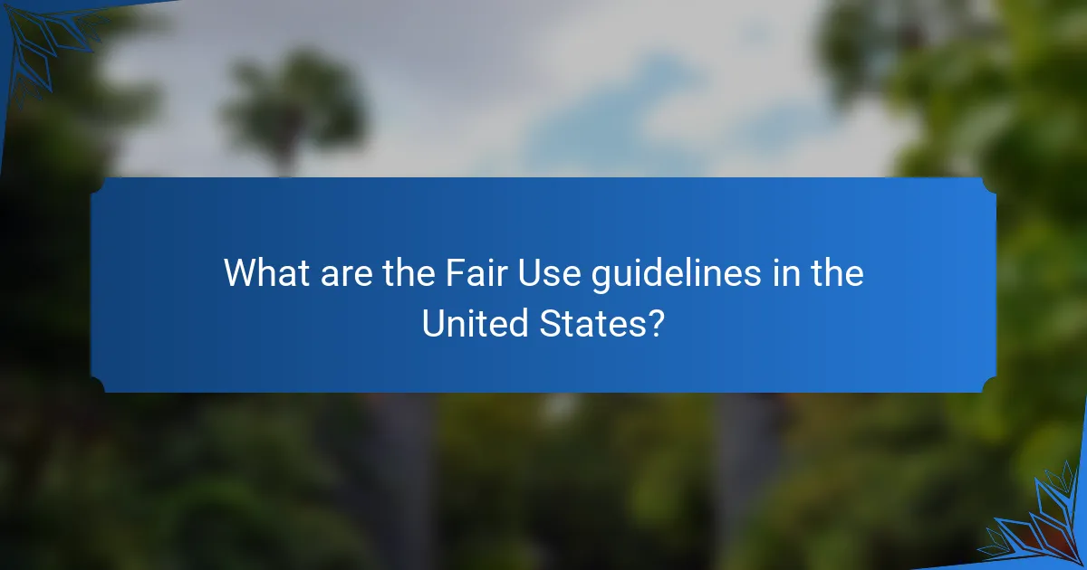 What are the Fair Use guidelines in the United States?
