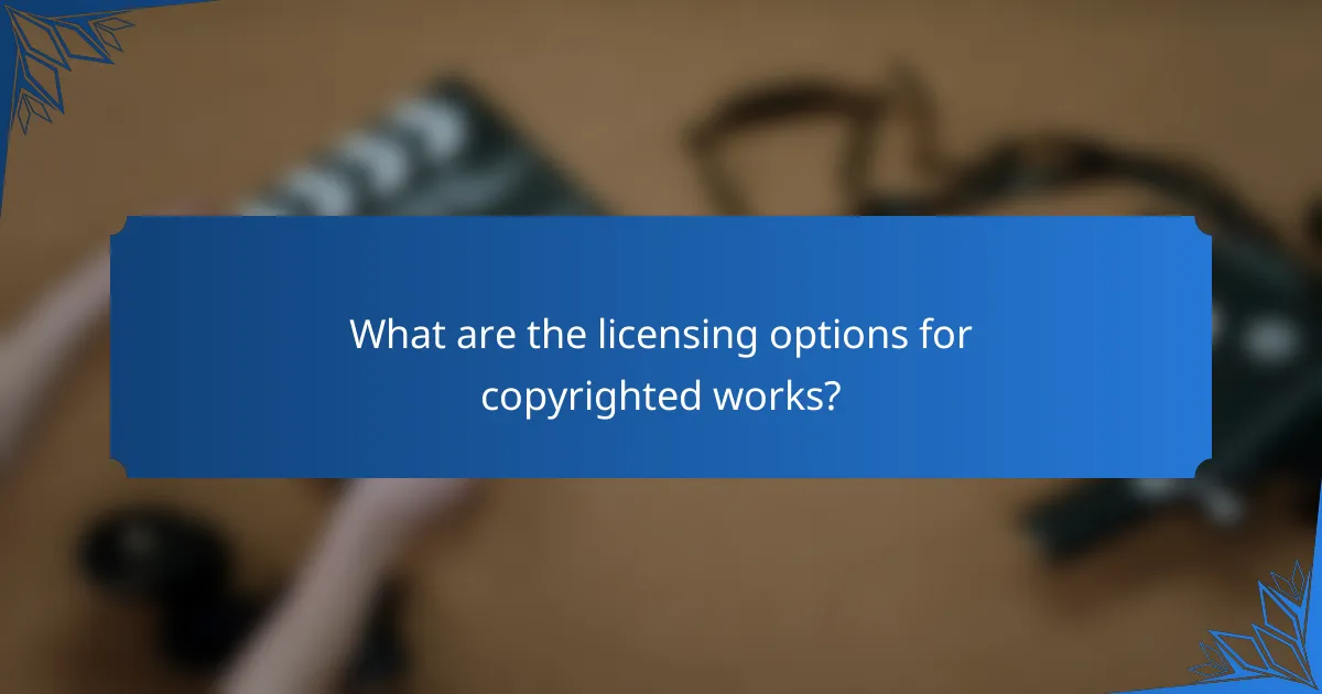 What are the licensing options for copyrighted works?