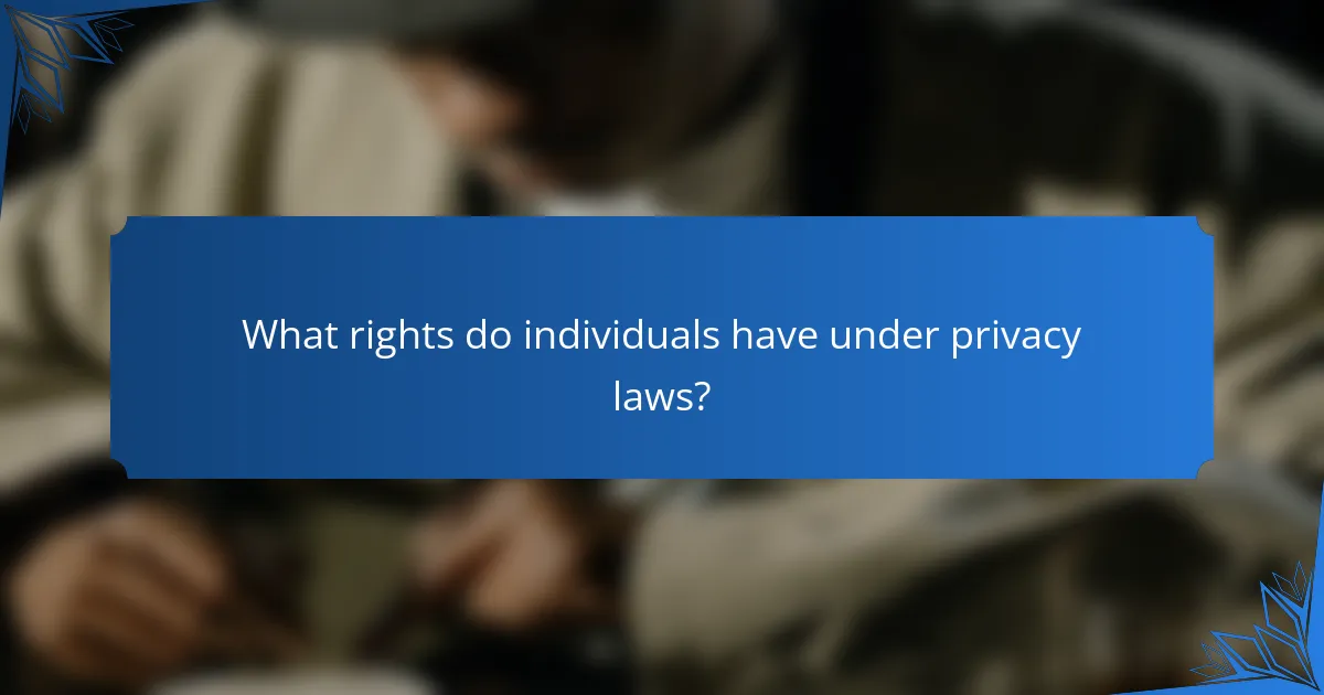What rights do individuals have under privacy laws?